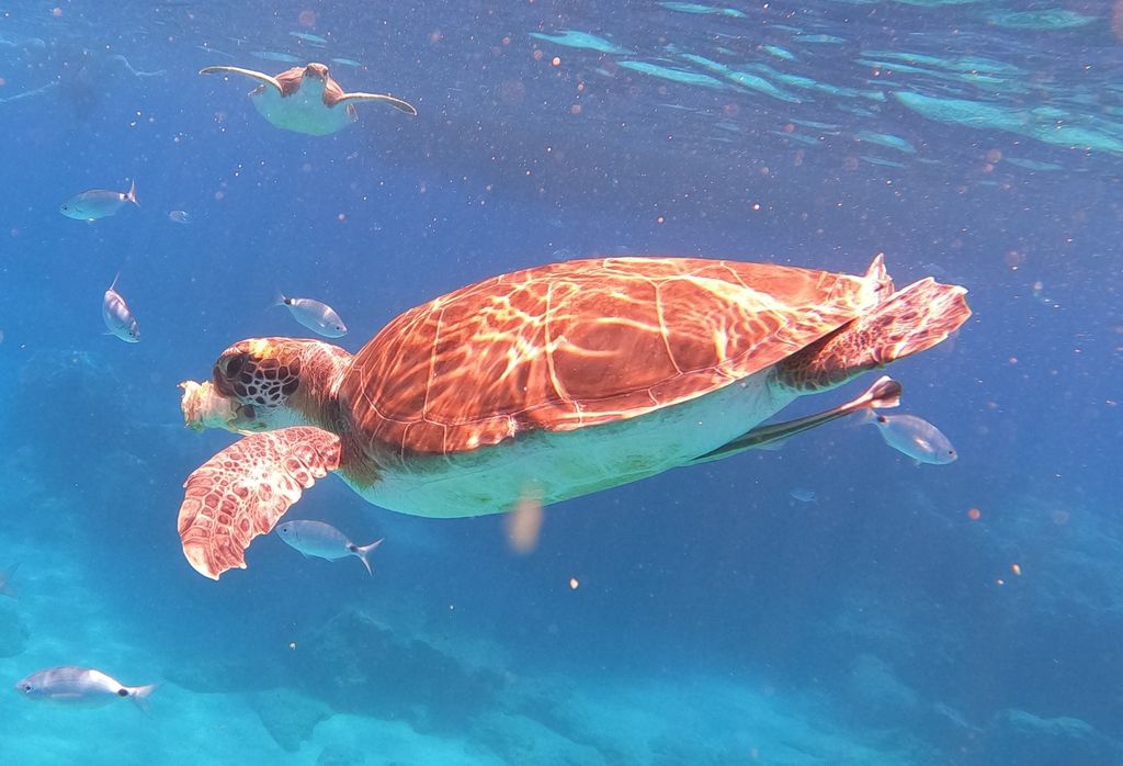 caddf327-05b3-4145-90bb-2e733089986f