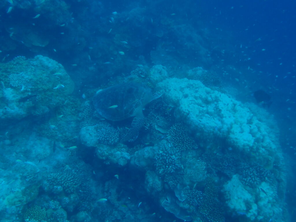 ce25f86f-aac2-49b9-8192-74326e8c3ac7