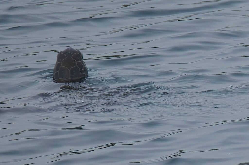 7b6d440c-ba30-4c53-850d-8a19f6e0d495