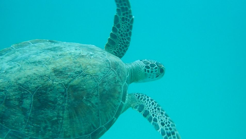 03a64a09-dbaf-4de4-8452-36dff5eef5c9