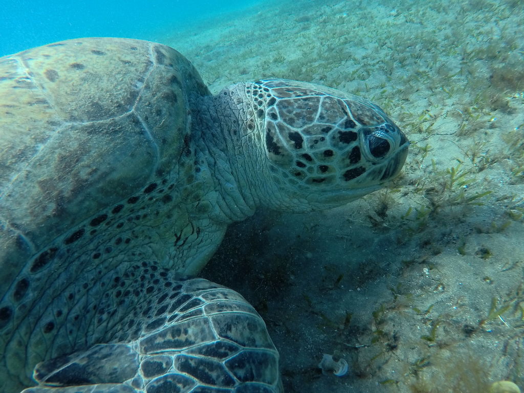 8cd8caac-5b0e-4235-8d3b-9f4753fd7baf