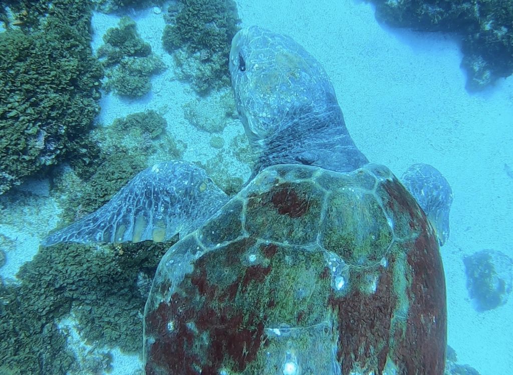 69ae880e-86de-4324-8420-182f811d8947