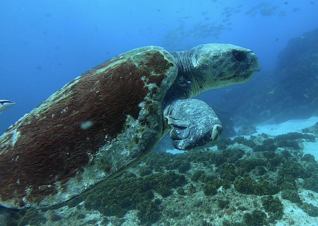 69ae880e-86de-4324-8420-182f811d8947