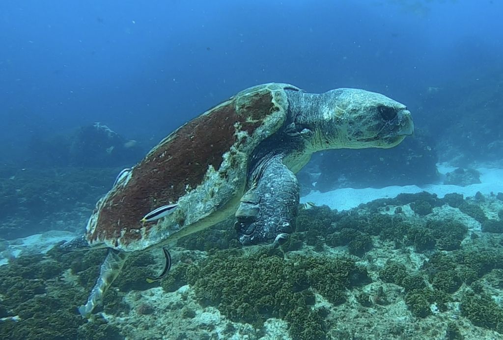 69ae880e-86de-4324-8420-182f811d8947