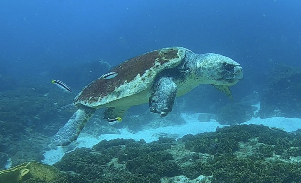 69ae880e-86de-4324-8420-182f811d8947