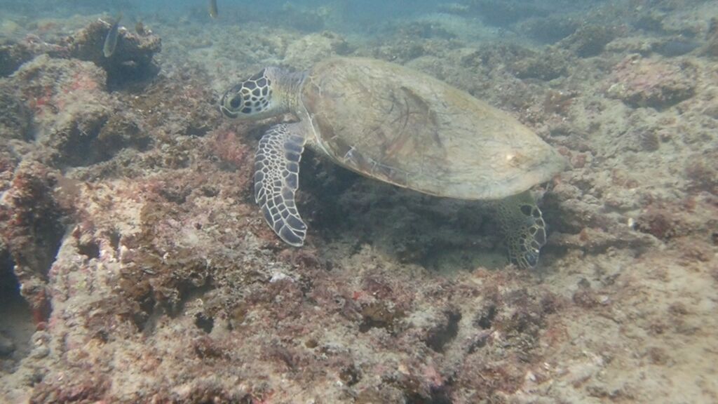 8499db2e-2b99-4094-844f-44f4c3f4e0f8