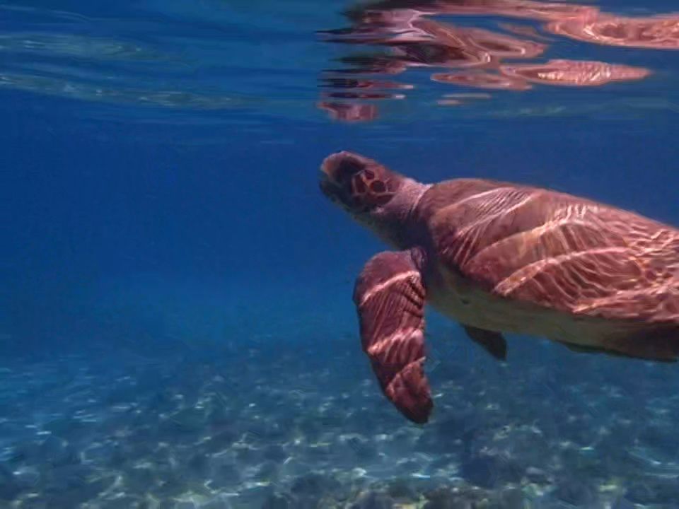 fd650082-31c6-4c4a-885e-f87e86795ade