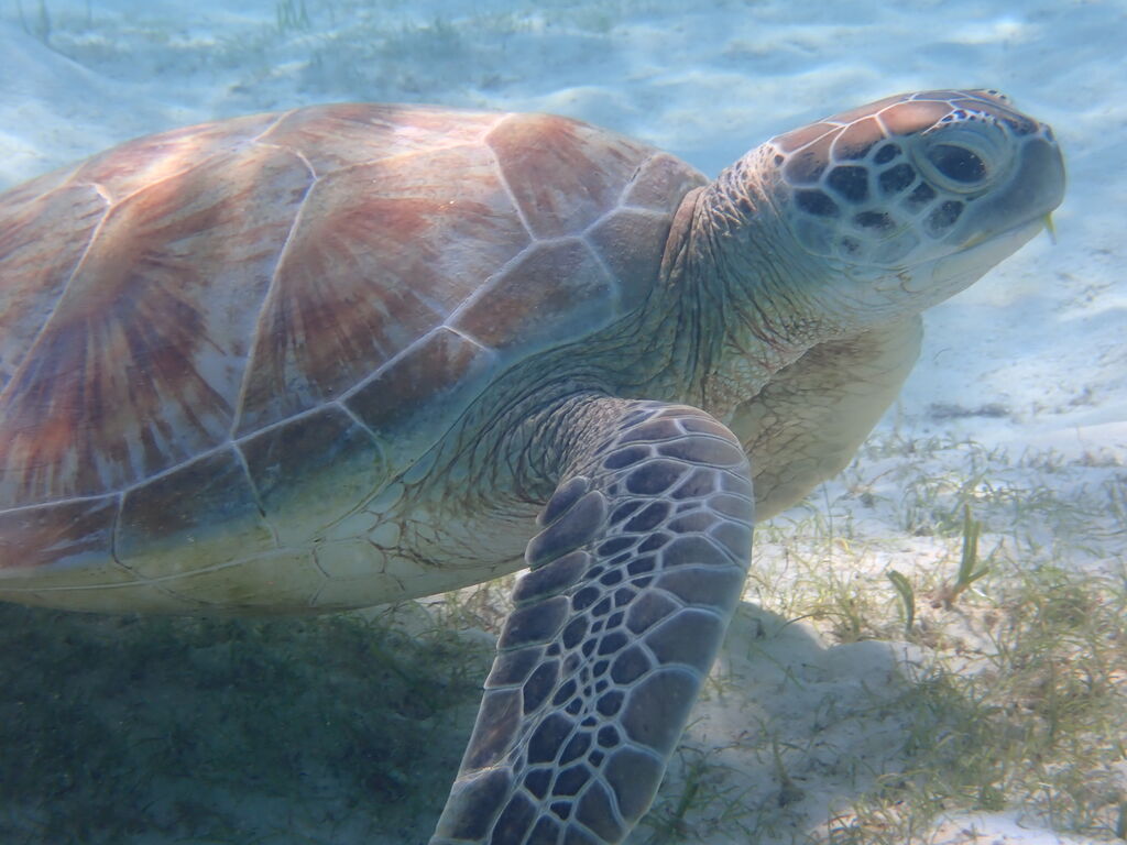 f45dcfc9-bcb2-4e34-a8d1-571e90452017