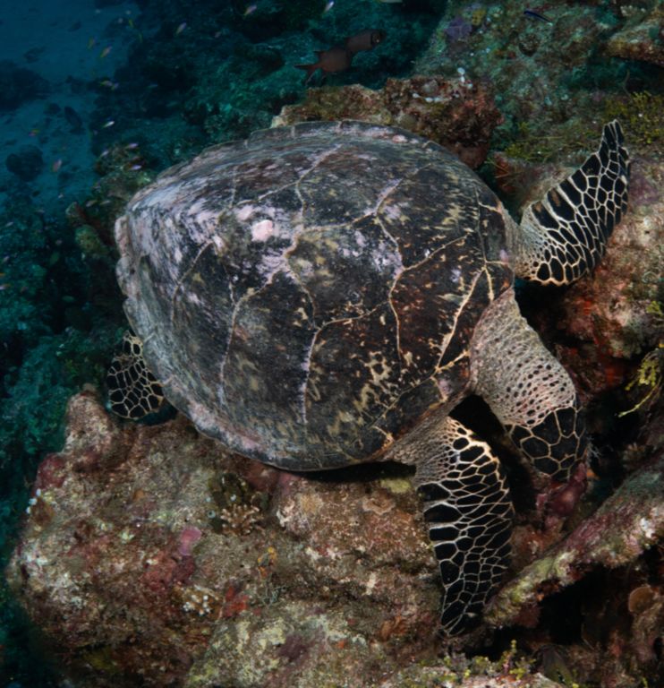 09e863ed-29c5-4873-a60e-8ee3e7b5abce