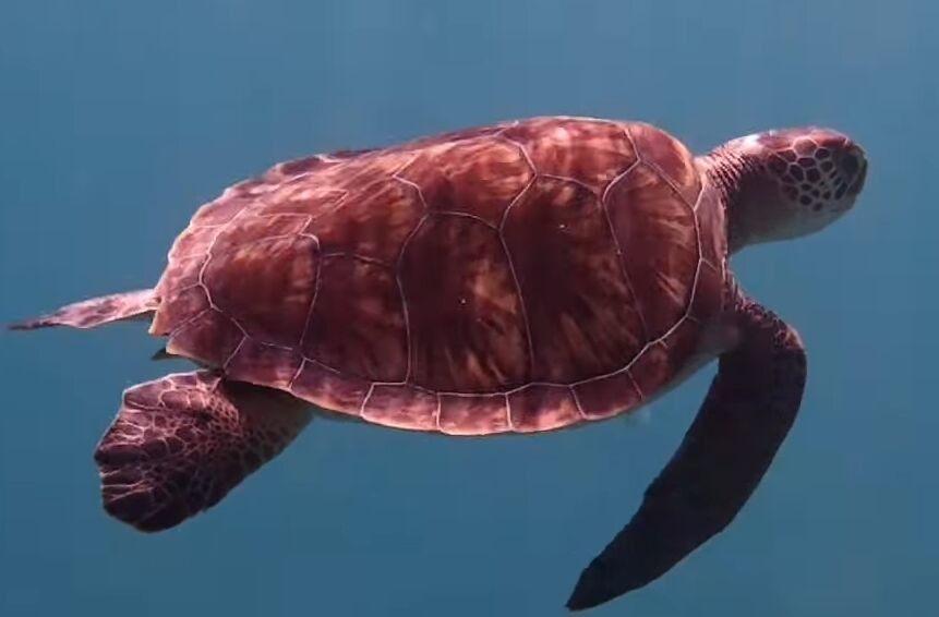 bd71ac8f-cc73-4ed4-a7cd-4ec22bb0ff48