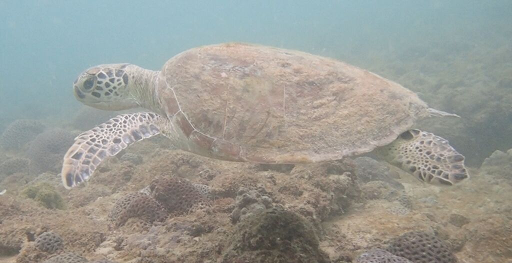 1adb12b3-768b-47ab-8b25-2dd38fce38b9