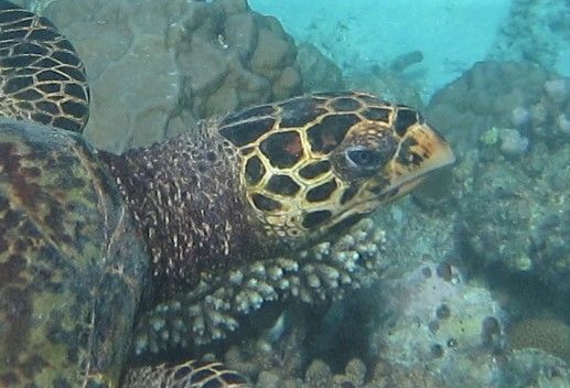 0d25dc22-eb09-460d-937f-0a5f4f71f8e8