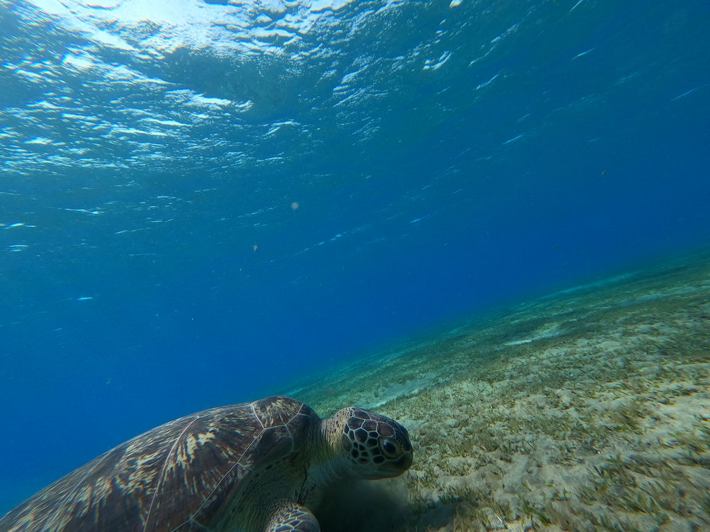 fac409f4-4b5c-41b6-bfe2-3fb84713fcc1