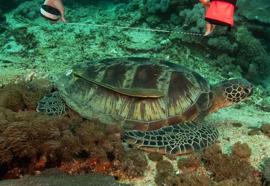 92cda8ff-fa9d-4bd0-b566-4ab0ebf51edc