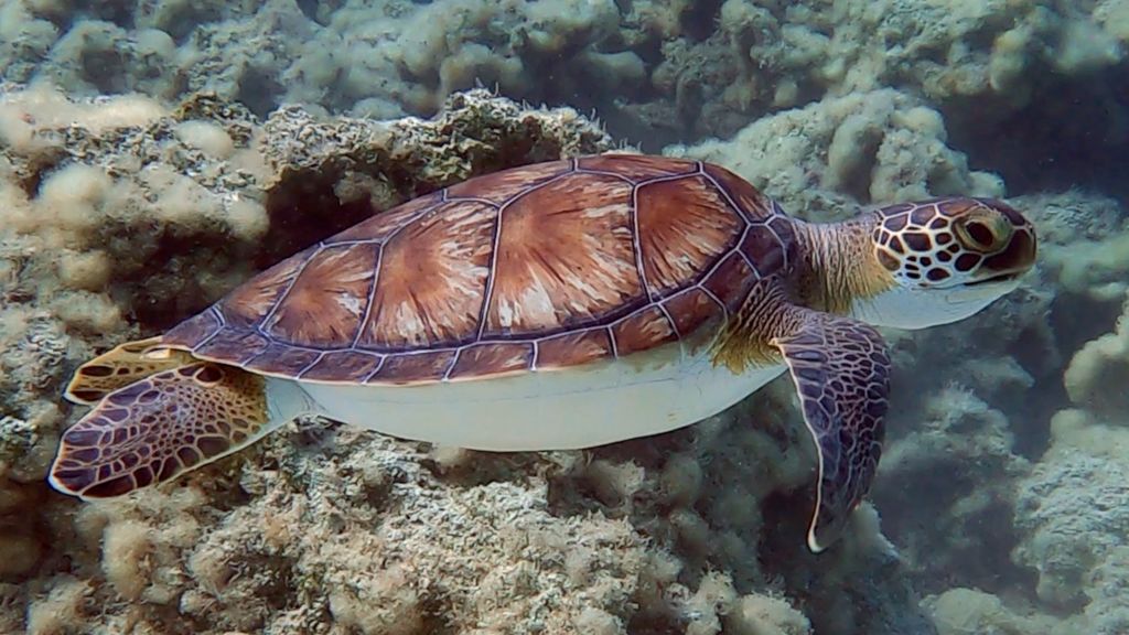 e536f214-13b5-48b7-9559-2f9e68291384