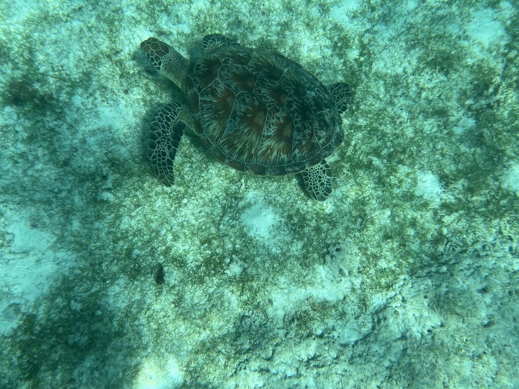 a984637d-4175-4674-810e-ac6e930ebe34