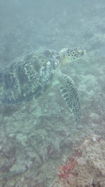 75159d35-dd42-4ad8-84d8-ea3ba67aa6f6