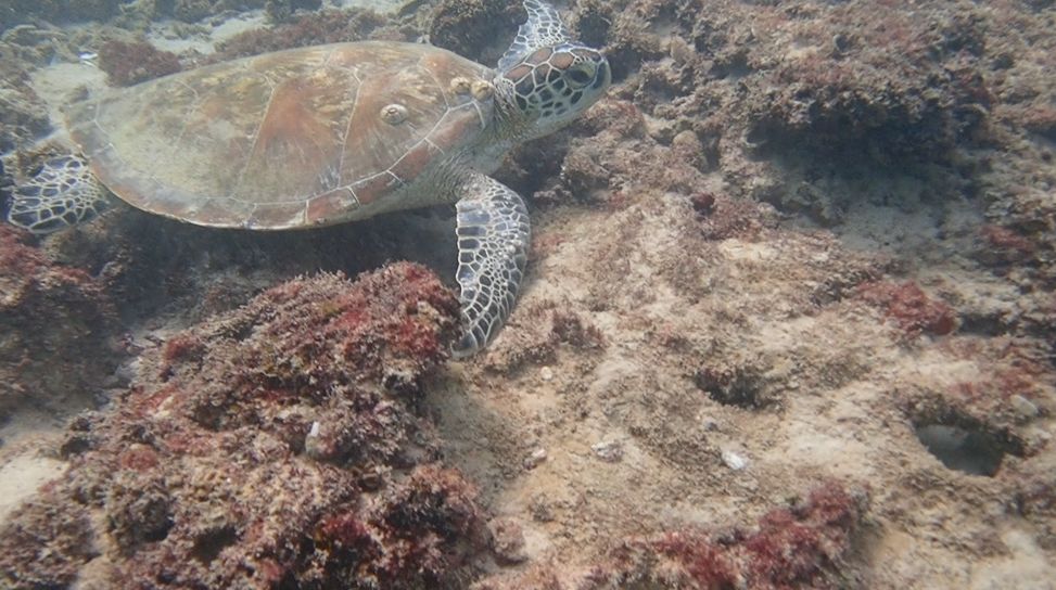 f2dfaff9-a54c-4a4a-b9b1-4428b5825d1e