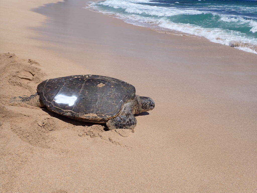 68237d57-4dc3-40c1-ba91-c84c12076bba