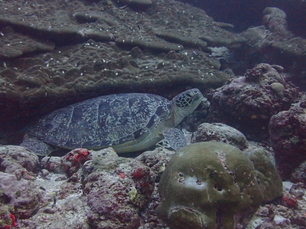 c8740ff6-8ee3-4d6c-b544-3d9a4acdcf86