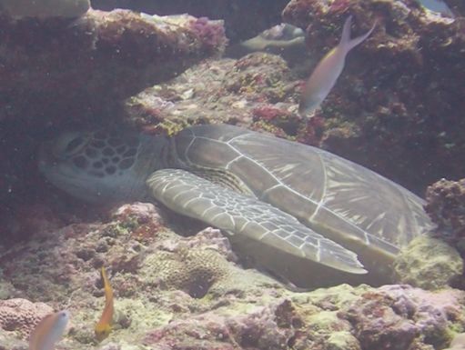 e4465be5-4460-48b9-97f6-d887397a9e88