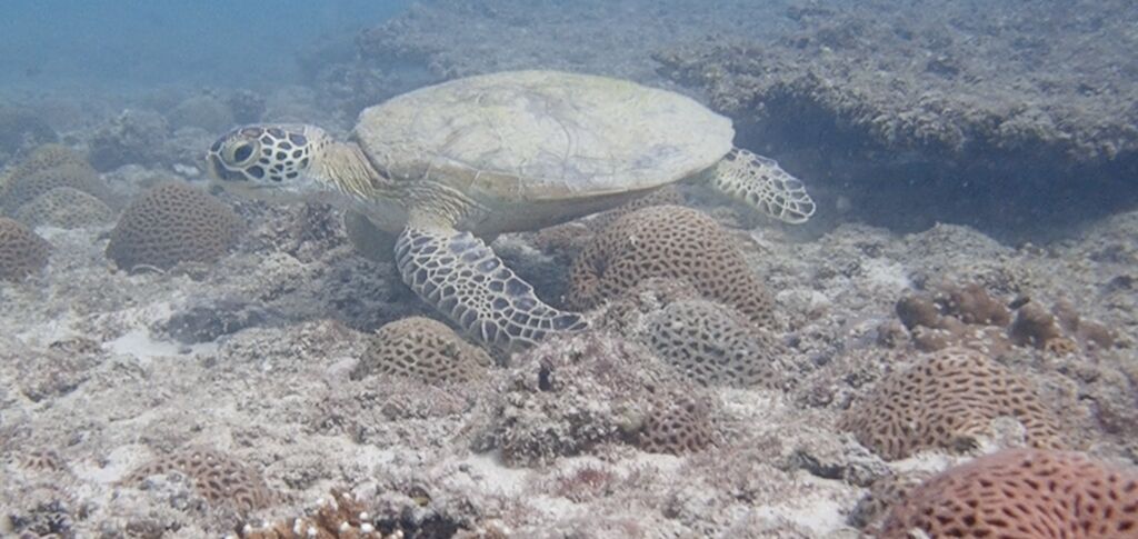 98ef5b3c-bcd2-44d9-b5e4-68567971e8fe