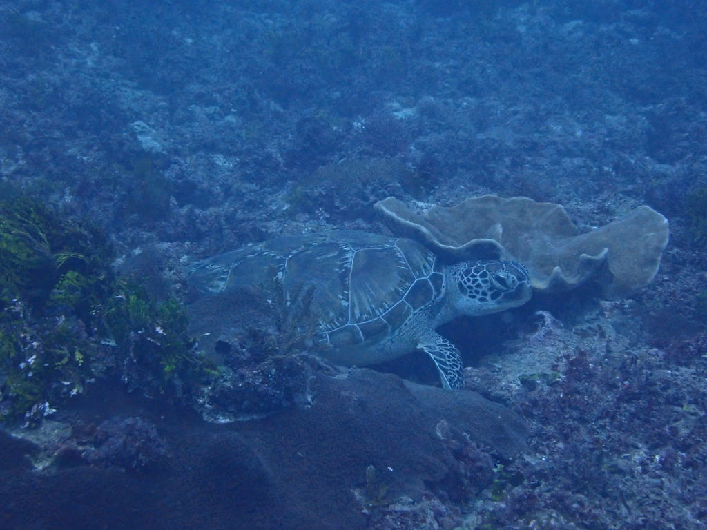 56cd0043-3c77-4f71-987d-6dd2dddc98f2