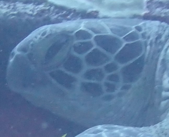 c8740ff6-8ee3-4d6c-b544-3d9a4acdcf86