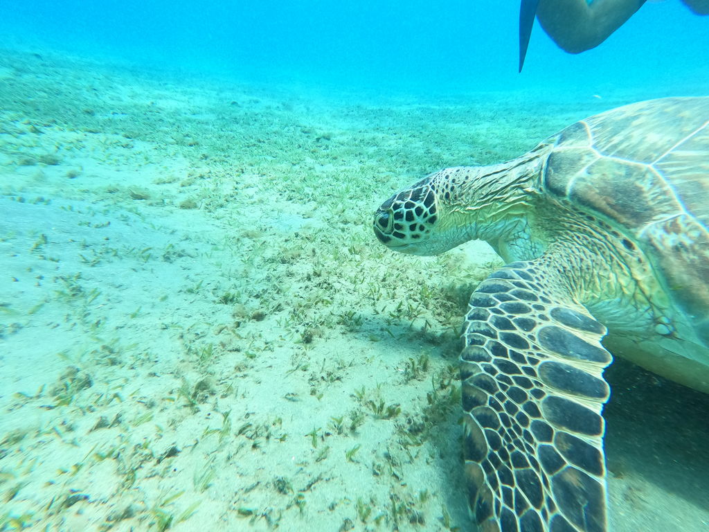 efdda73e-e395-4ac9-a10f-92978a30bdab