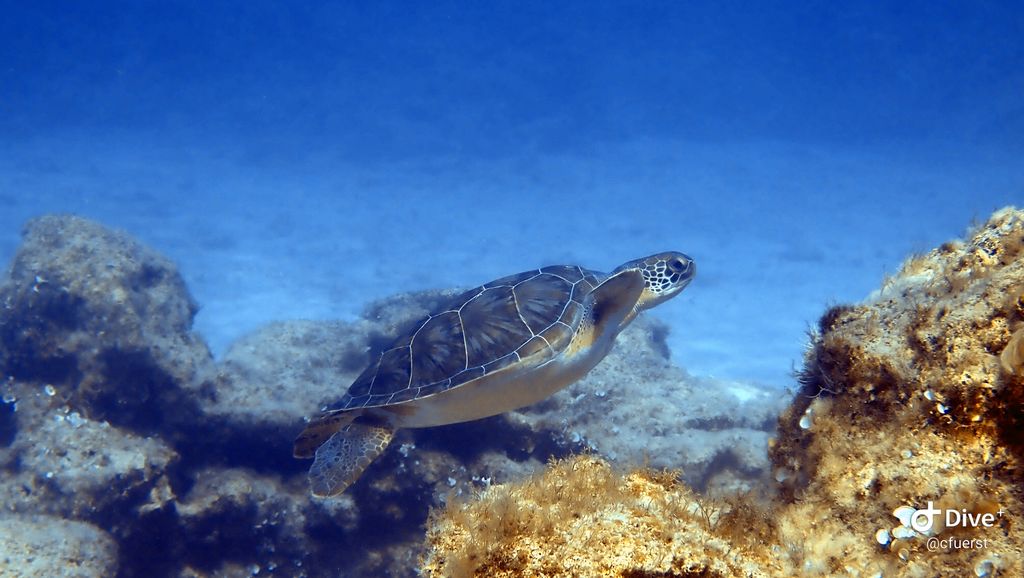 ba44b662-6f09-438a-8779-27418531603d