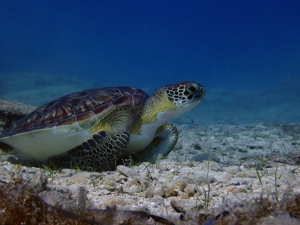 ba44b662-6f09-438a-8779-27418531603d