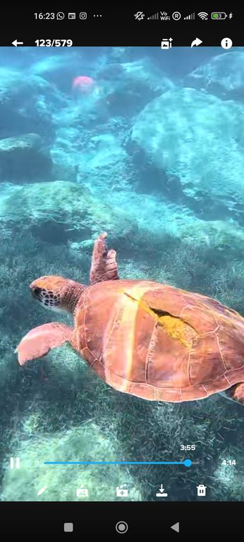 af9e3d9d-d904-484b-b427-3f12a54da736