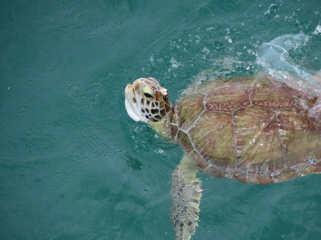 7ebf4357-517d-493d-8a9d-ed39a0365e18