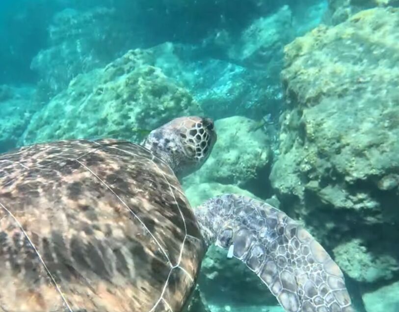 e8a6f573-322f-411e-bae3-23fdafb00fa6