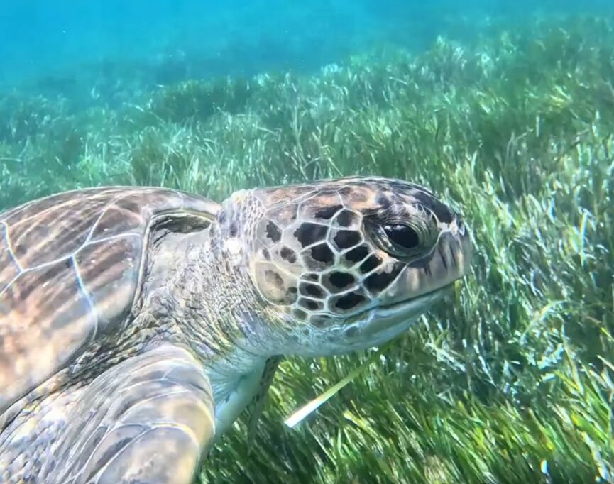 e8a6f573-322f-411e-bae3-23fdafb00fa6