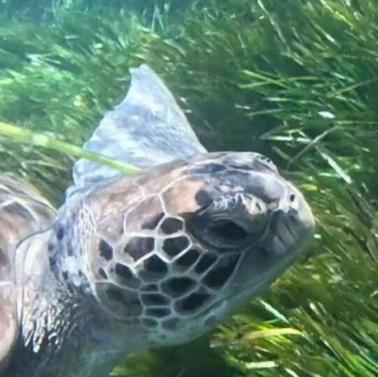 e8a6f573-322f-411e-bae3-23fdafb00fa6