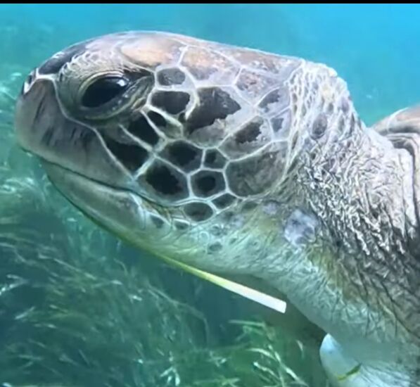 e8a6f573-322f-411e-bae3-23fdafb00fa6