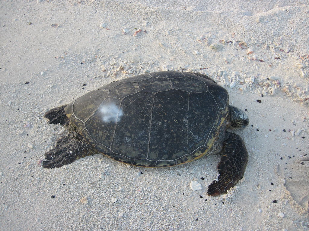 e608ae6d-a543-4ad7-bc56-f9e428851aa0