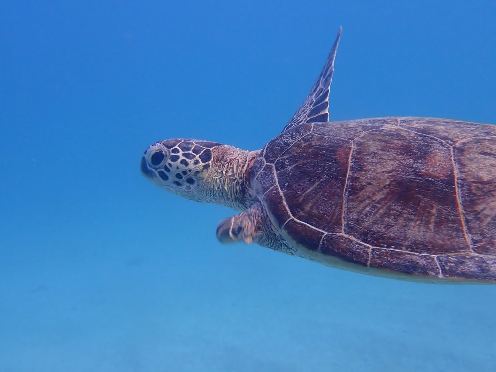 303c0f24-01bd-4d19-9361-4a858db473df