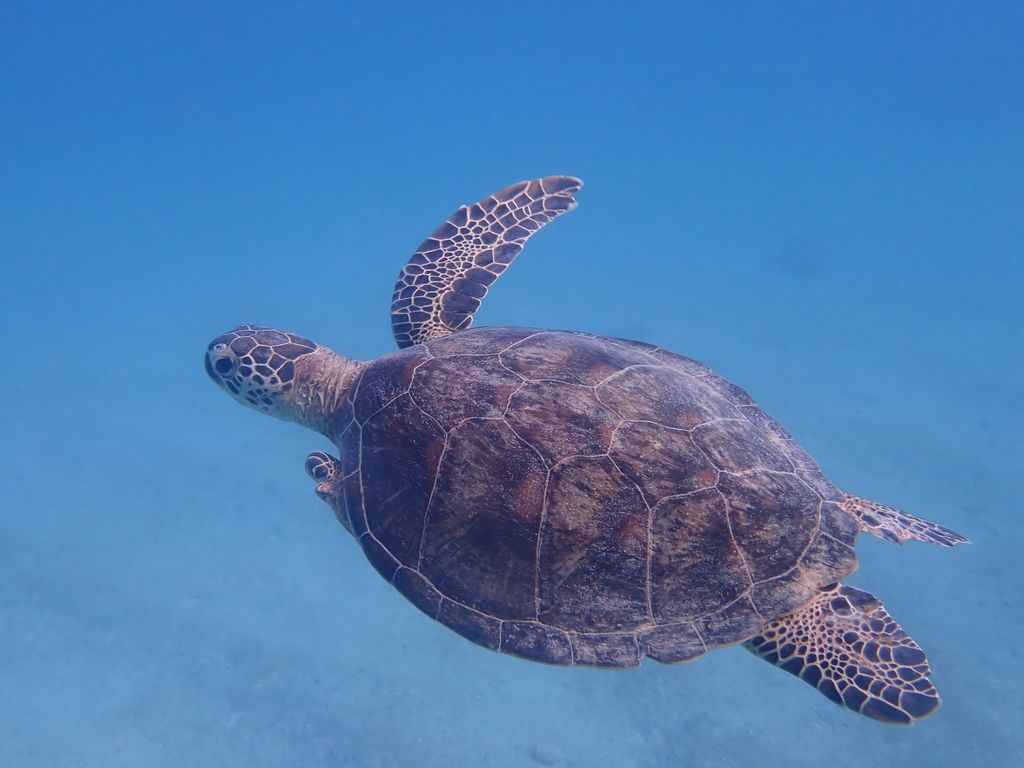 303c0f24-01bd-4d19-9361-4a858db473df