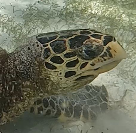 0d25dc22-eb09-460d-937f-0a5f4f71f8e8