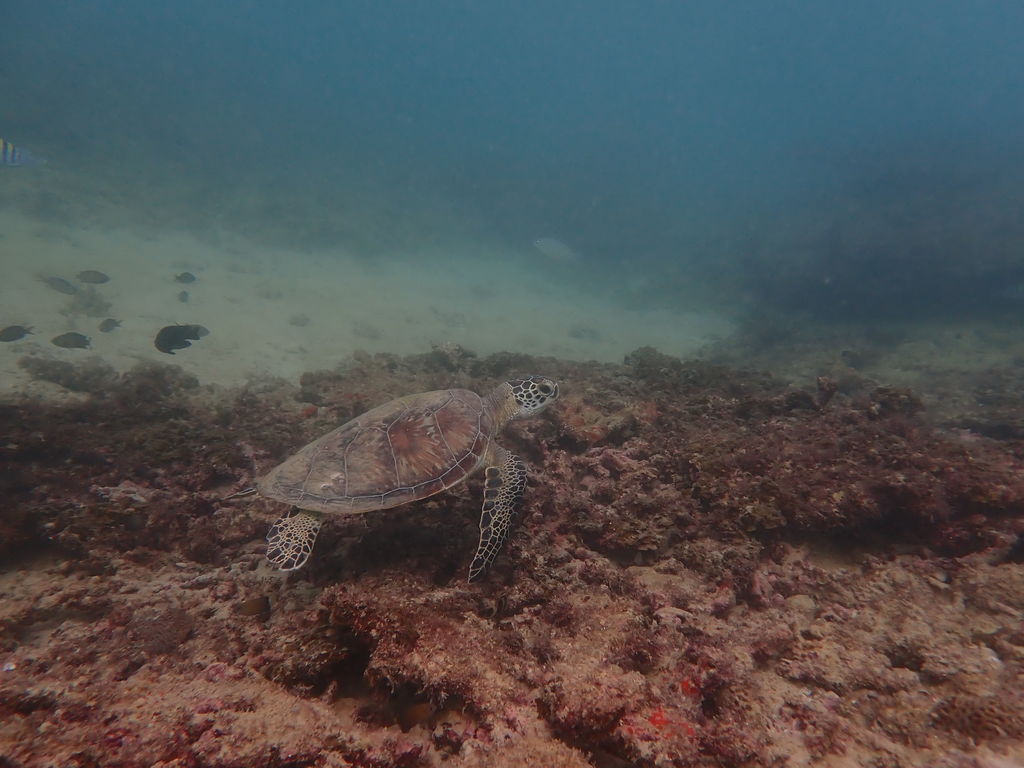 8499db2e-2b99-4094-844f-44f4c3f4e0f8