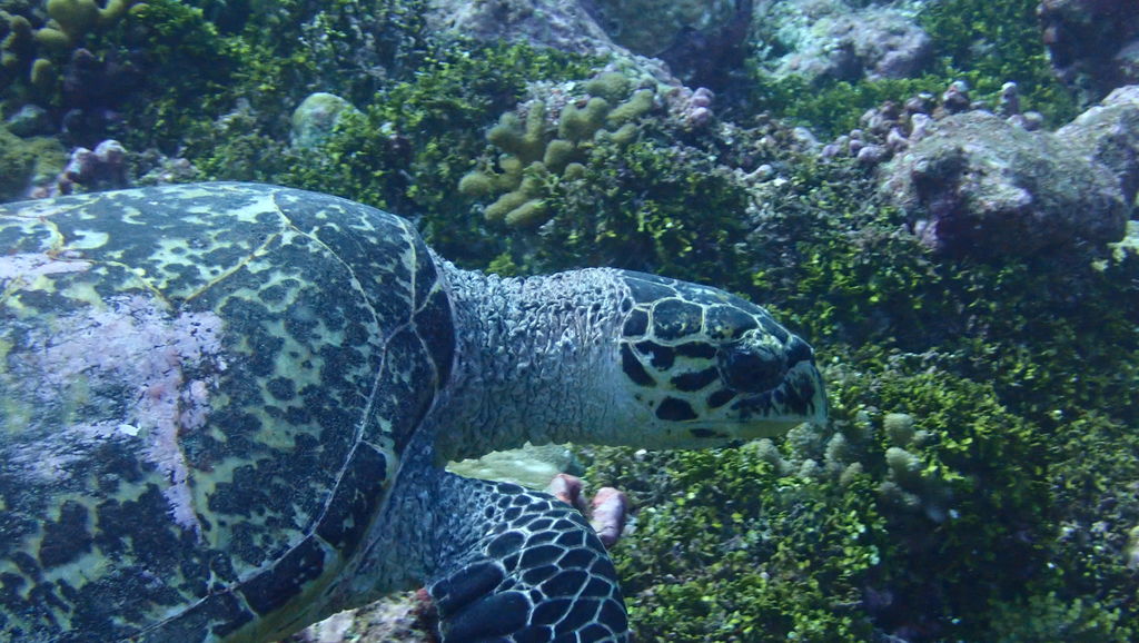 d1ba4d29-215f-474c-8cca-5c5203d35c0a