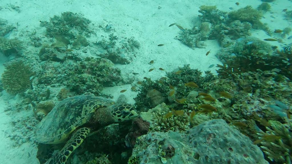 6ed9ddc6-0610-4c94-ba48-e373feee0673