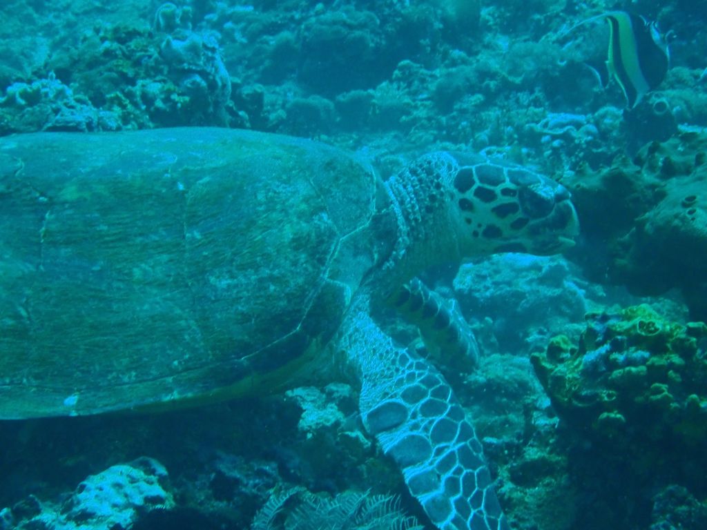 ac38d921-b73f-4f3d-bde3-44482709b3f9