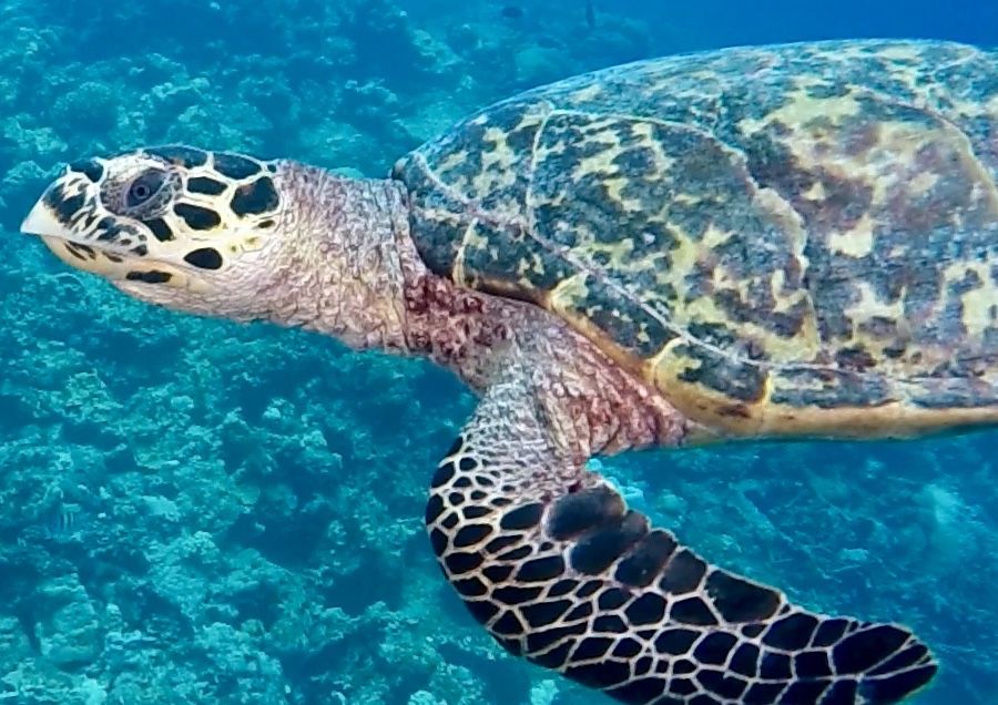 f361ff26-1e66-4c82-86e7-43d29ae699db