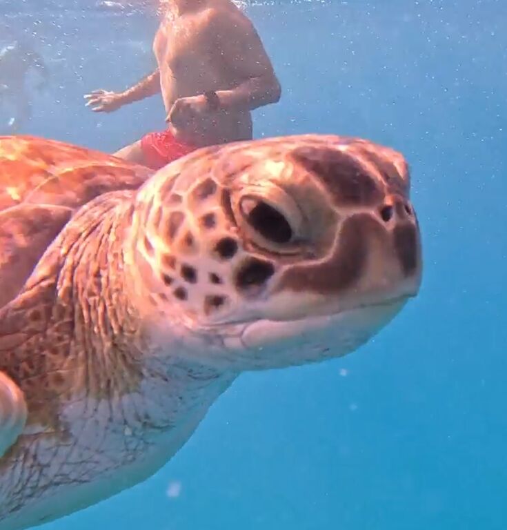 3f548098-e0a2-4202-8d5d-59ef4c4d2839