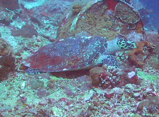 9952cb61-5ebb-4214-845a-e4ced2c058d2