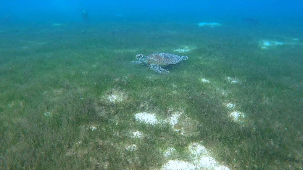 f24acb59-96ae-409c-a9df-b19b33b13eb8