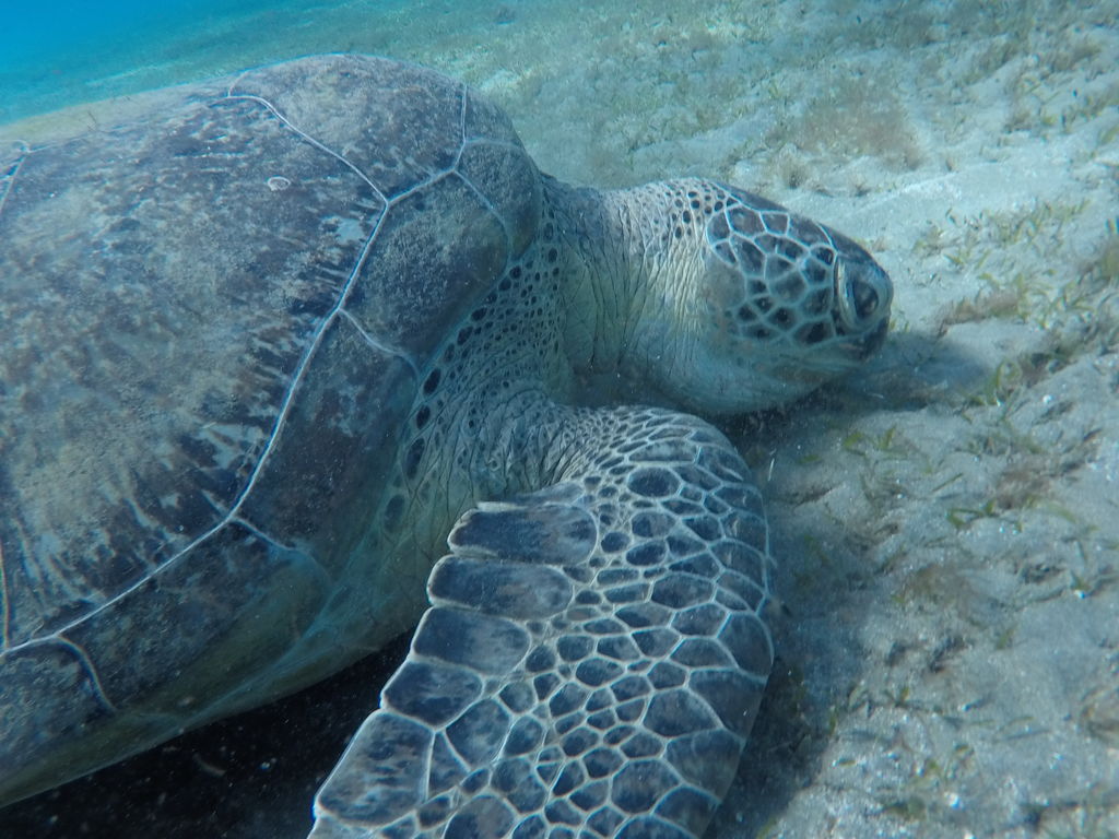 a5761297-d9e5-4d73-aa02-bd6b71730501